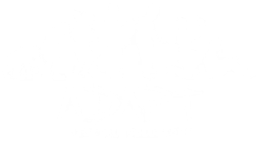 Adapt Logo